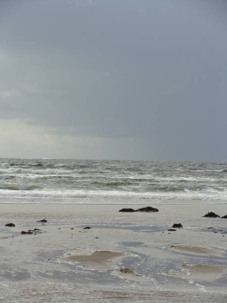 istock landscape with ocean shore in summer 1394539716