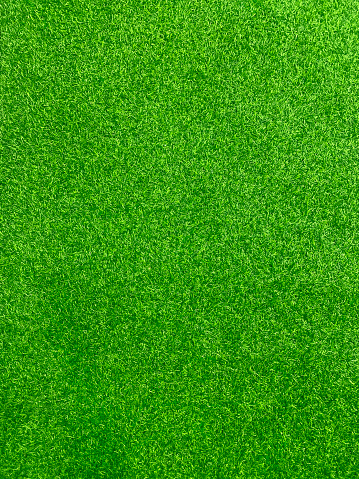 Green grass texture background grass garden concept used for making green background football pitch, Grass Golf, green lawn pattern textured background.\