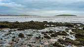 Stream flowing into Balcary Bay, with salmon fishing nets in the background