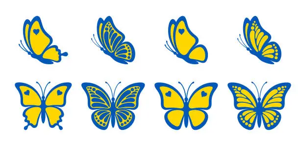 Vector illustration of Contour of blue yellow butterfly