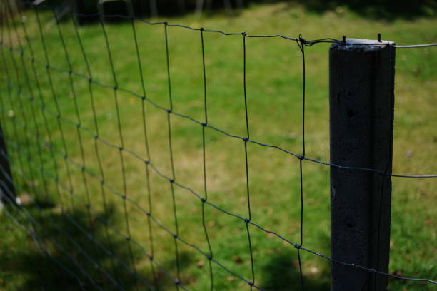istock Metal fence 1394546047