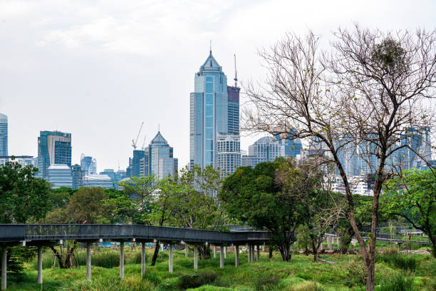 Benjakitti forest park Bangkok Thailand