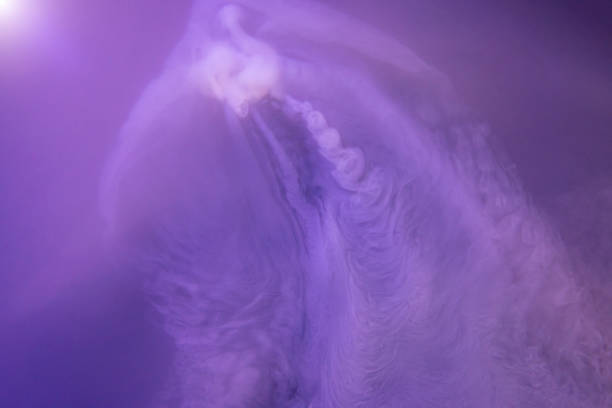 Dry Ice Fog or Smoke, From Above
