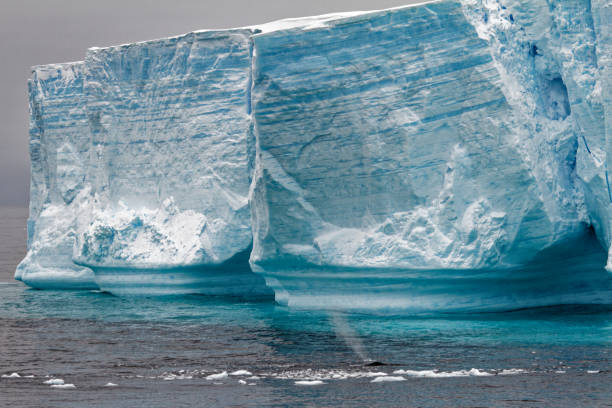 istock Whale - Antarctic Peninsula - Tabular Iceberg in Bransfield Strait 1394549539