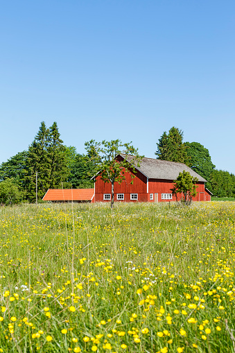 Aerial view of Latvia countryside with fields and Farmstead building in beautiful spring day