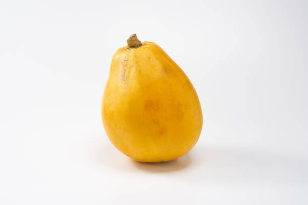 istock the fruit of papaya on a white background 1394551246