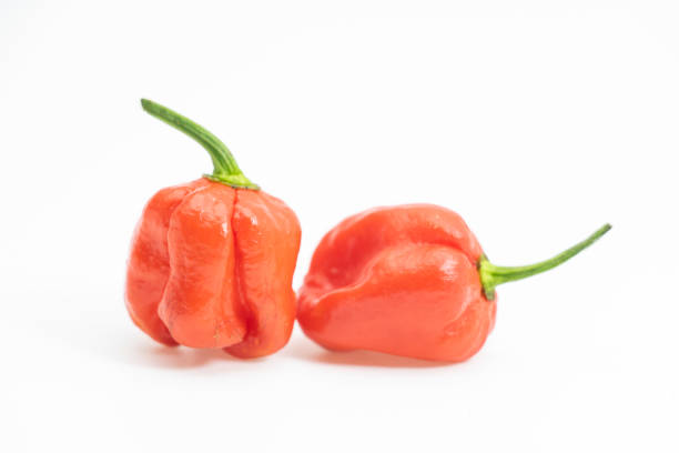 istock Spicy hot chili peppers on white background, naga chili isolate on white 1394552884