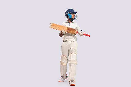 Cricket concept