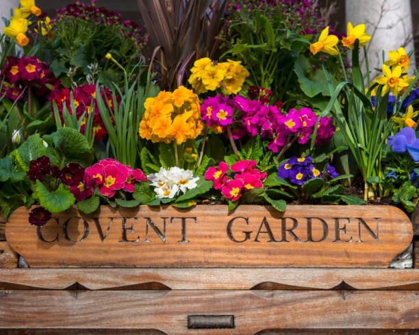 istock Covent Garden in London, UK 1394565219