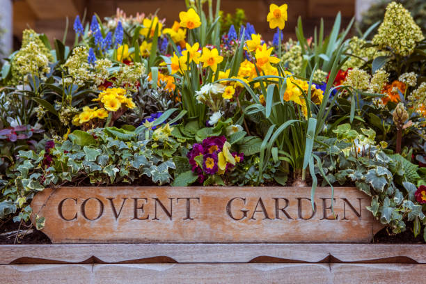 istock Covent Garden in London, UK 1394566301
