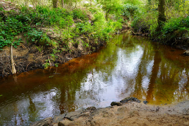 istock View of a small river flowing in the countryside 1394566816