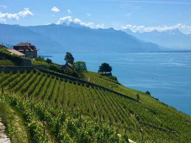 istock Switzerland- Canton de Vaud - Lavaux 1394567591