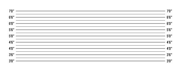 vektorillustration polizei mugshot isoliert auf weißem hintergrund. polizei-lineup-hintergrund mit zoll-skala. polizei-mugshot-board-vorlage. - bildformate stock-grafiken, -clipart, -cartoons und -symbole
