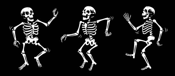 Skeleton 003 Dancing skeletons vector illustration human skeleton stock illustrations
