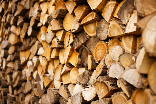 Close-up of firewood storage