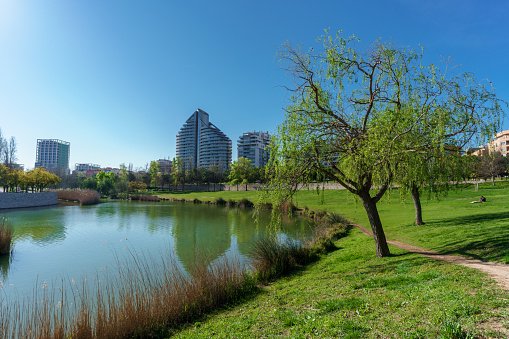 Landscape Cabecera´s Park in Valencia city with green area and buildings