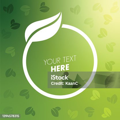istock Organic food labels. Natural meal fresh products logo. Ecology farm bio food vector premium badges stock illustration 1394578315