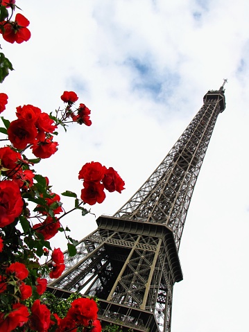 The Eiffel Tower is a wrought-iron lattice tower on the Champ de Mars in Paris, France.