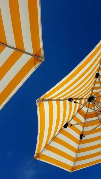 Yellow and white stripe pool umbrellas with blue sky Yellow and white stripe pool umbrellas beach umbrella photos stock pictures, royalty-free photos & images