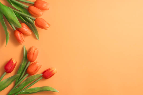 母の日の背景コンセプト。明るい黄色のテーブルの上に休日の挨拶チューリップ花束のトップビューデザイン - bouquet mothers day tulip flower ストックフォトと画像
