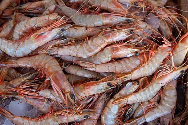 istock prawns on market counter 139458997