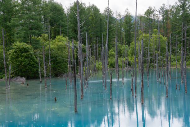 istock Blue pond in early summer 1394590495