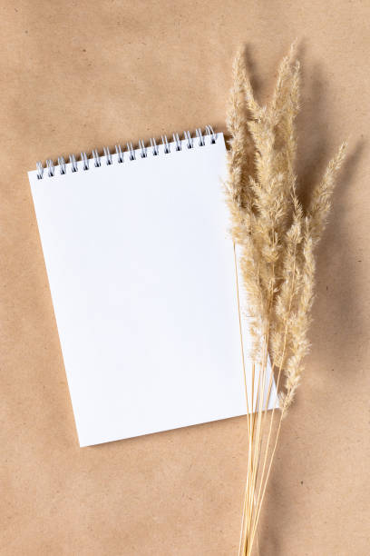 istock Open white paper empty blank of notepad for mock up with dried spikelets decoration on craft beige background. 1394601080