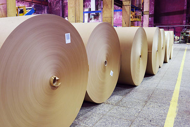 istock rolls of kraft paper 139460412