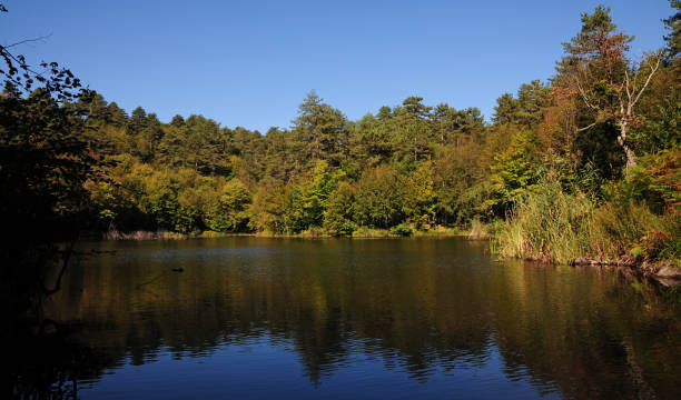 grande lago sem fundo / yalova / turquia - yalova - fotografias e filmes do acervo