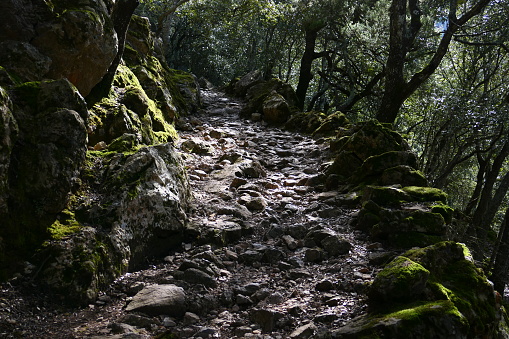 Stone road, surroundings of Lluc, Serra de Tramuntana, Majorca, Balearic Islands