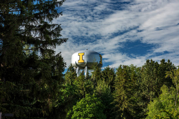 University of Idaho water tower amongst a forest of trees stock photo