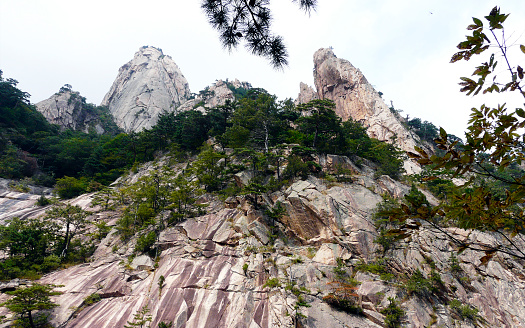 Seoraksan National Park is the most beautiful park in South Korea. Located in the northeast of the country, near the city of Sokcho, it is clearly a stopover to add to your travel itinerary in South Korea.