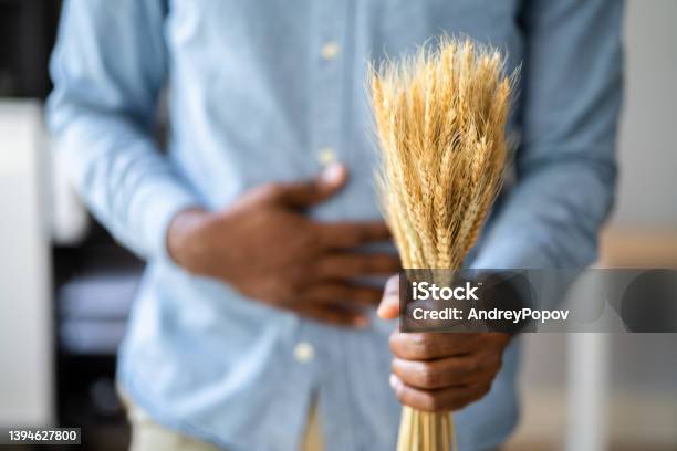Celiac Disease And Gluten Intolerance Man Holding Spikelet Stock Photo - Download Image Now