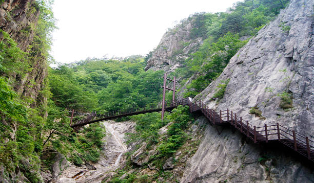 istock Outer Seroak Section, Seoraksan National Park, South Korea 1394628720