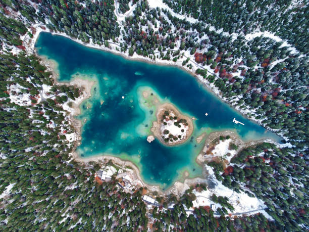 lago suíço azul caumasee em flims drone shot com ilha - graubunden canton fotos - fotografias e filmes do acervo