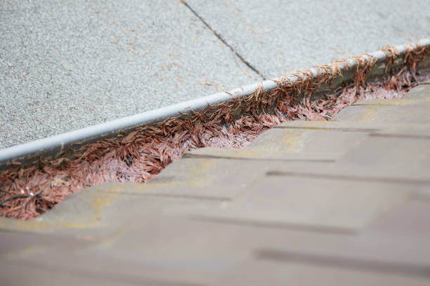istock dirty gutter on an old house roof 1394629022