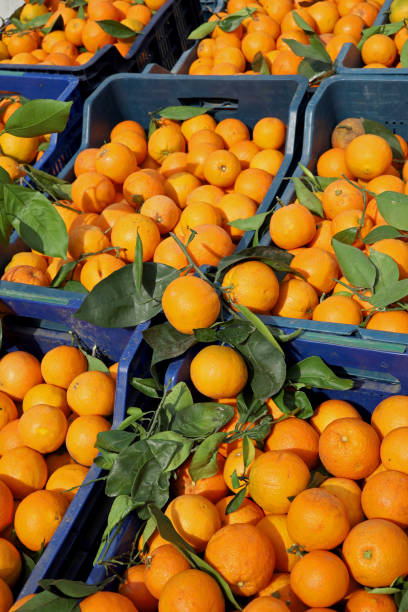 istock organic and fresh oranges at the market 1394630138