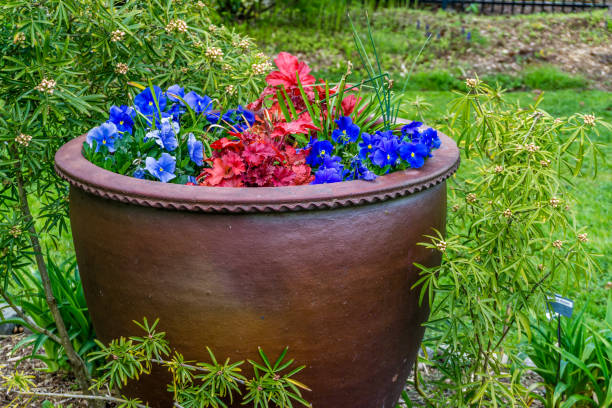 A pot of flowers outside an old house in Boston with branches of faith. Front garden decoration for Easter