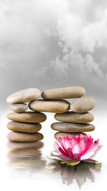 istock stones and lotus flower on the water. 1394638344
