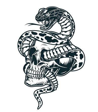 Snake entwined with skull template in vintage monochrome style isolated vector illustration