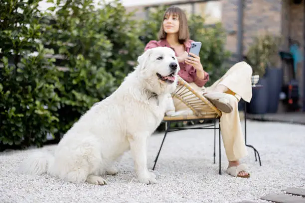 Photo of Happy woman with her dog at backyard