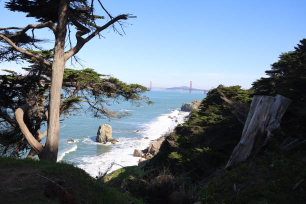 istock Lands end lookout in San francisco California 1394641521