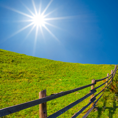 green hill with wooden fence  at summer sunny day, countryside rural landscape