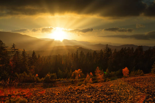 Ukraine. Great scene. Very beautiful winter sunset with mountain and cloud. The sun's rays, breaking through the thickness of the clouds, paint everything around with magical light. Carpathians. High quality photo