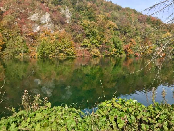 istock Croatie - lacs de plivice 1394644094