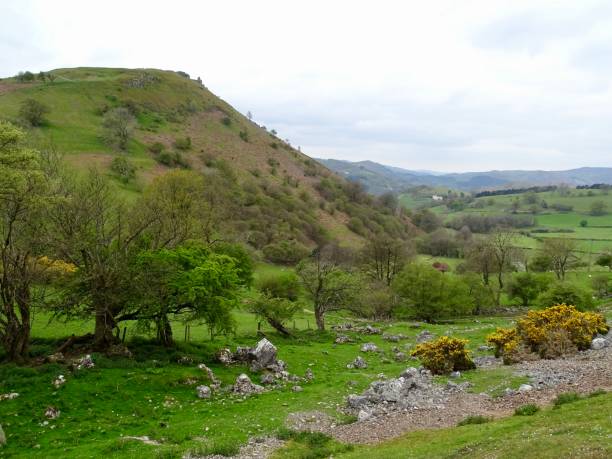 istock Mountain scenery in Wales 1394647378