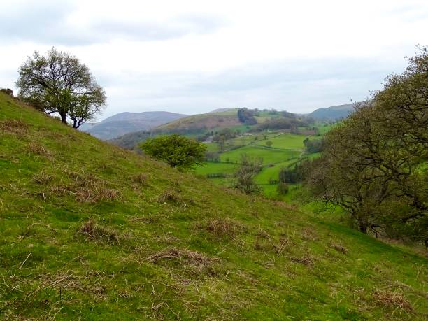 istock Mountain scenery in Wales 1394647417