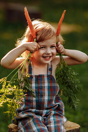 Cute smiling little blonde girl in a plaid romper sits barefoot on a wooden stump with a bunch of fresh organic carrots. Fresh healthy food for young children. Family meals in summer.