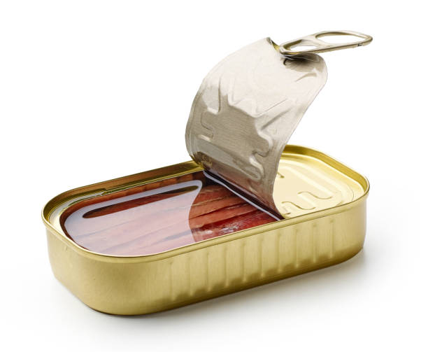 istock canned anchovy fillets 1394650061