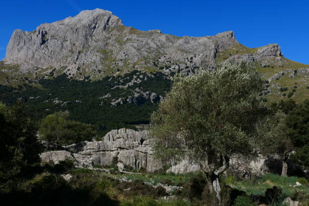 istock Landscape, view from Sa Casa Nova viewpoint, Serra de Tramuntana, Majorca, Balearic Islands 1394650365